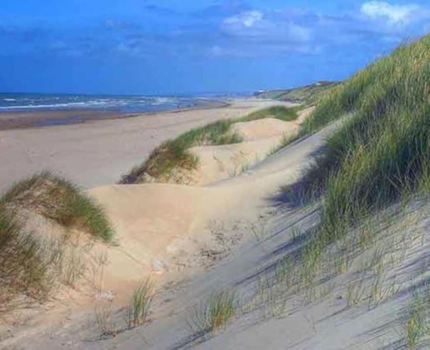 Jolie Maison Sur Golf, Proche Plage, Fort-Mahon المظهر الخارجي الصورة
