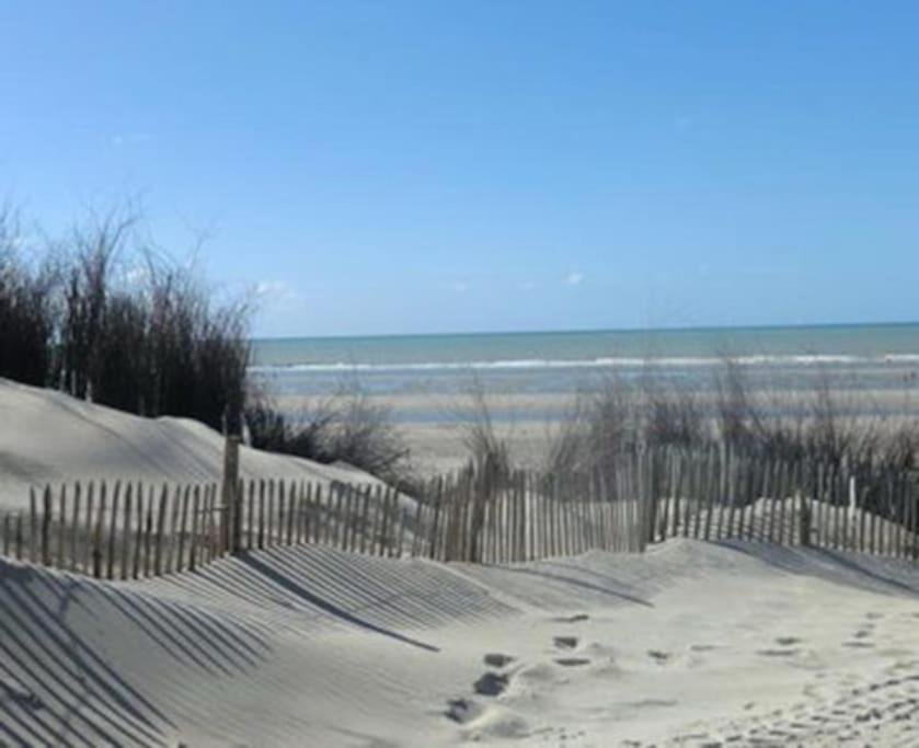 Jolie Maison Sur Golf, Proche Plage, Fort-Mahon المظهر الخارجي الصورة